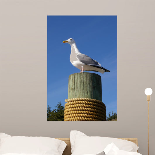 Seagull Mat