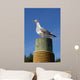 Seagull Mat
