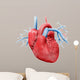 Human Heart Anatomy