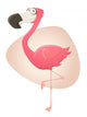 Flamingo Cartoon Lustig Vektor