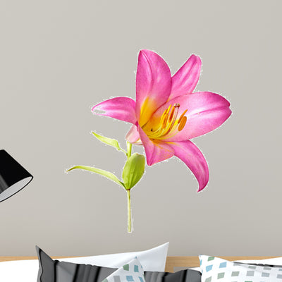 Pink Lily White shown on a wall