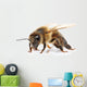 Bee Wall Decal