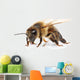 Bee Wall Decal