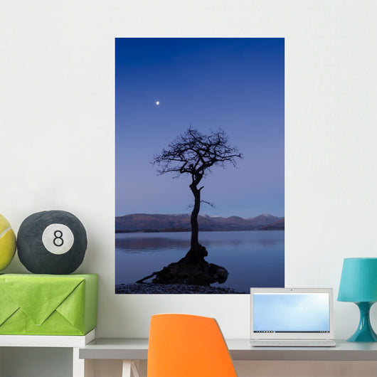 Moonrise Loch Lomond
