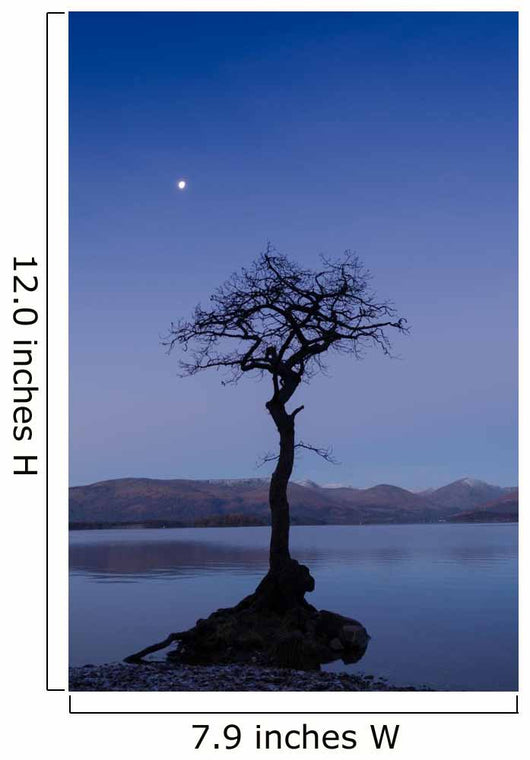 Moonrise Loch Lomond