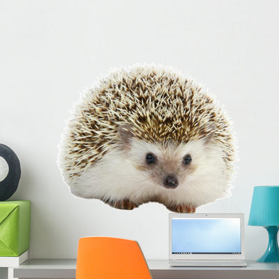 Hedgehog Wall Decal shown on a wall