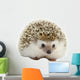 Hedgehog Wall Decal