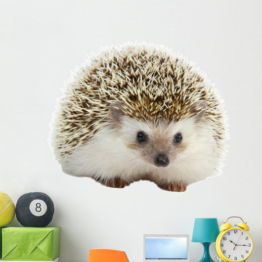 Hedgehog Wall Decal