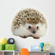 Hedgehog Wall Decal