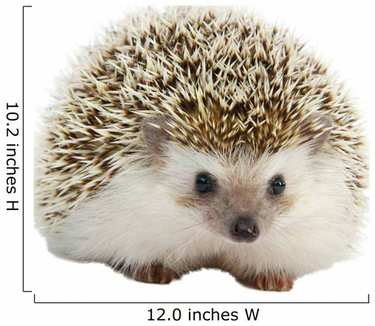 Hedgehog Wall Decal