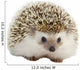 Hedgehog Wall Decal