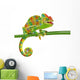 Chamaeleo calyptratus, female, isolated on a white background Wall Decal