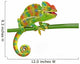 Chamaeleo calyptratus, female, isolated on a white background Wall Decal