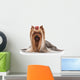 Yorkie Puppy on White Gradient Background Wall Decal