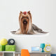 Yorkie Puppy on White Gradient Background Wall Decal