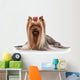 Yorkie Puppy on White Gradient Background Wall Decal