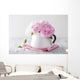 Beautiful Pink Peony Flowers