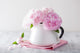 Beautiful Pink Peony Flowers