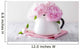 Beautiful Pink Peony Flowers