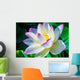 Closeup on Lotus Petal with Copyspace Wall Mural