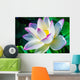 Closeup on Lotus Petal with Copyspace Wall Mural