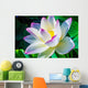 Closeup on Lotus Petal with Copyspace Wall Mural