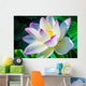 Closeup on Lotus Petal with Copyspace Wall Mural