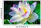 Closeup on Lotus Petal with Copyspace Wall Mural
