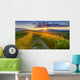 Panorama Colorful Summer Evening