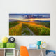 Panorama Colorful Summer Evening