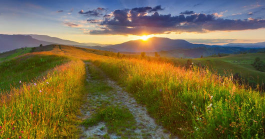 Panorama Colorful Summer Evening