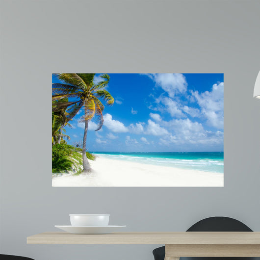 Wild Beach Tulum Yucatan