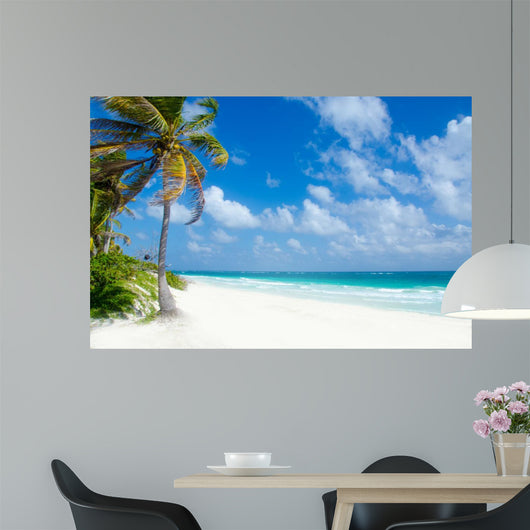 Wild Beach Tulum Yucatan