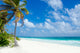Wild Beach Tulum Yucatan