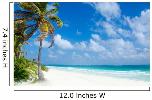 Wild Beach Tulum Yucatan