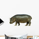 Baby Hippo Isolated on White Background Wall Decal