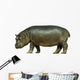 Baby Hippo Isolated on White Background Wall Decal