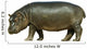 Baby Hippo Isolated on White Background Wall Decal