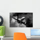 Airplane Wall Mural