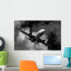 Airplane Wall Mural