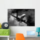 Airplane Wall Mural