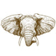 vector illustration of engraving elephant head Wall Decal