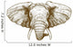 vector illustration of engraving elephant head Wall Decal