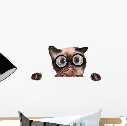 Crazy Silly Cat with