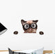 Crazy Silly Cat with
