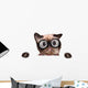 Crazy Silly Cat with
