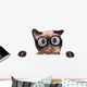 Crazy Silly Cat with