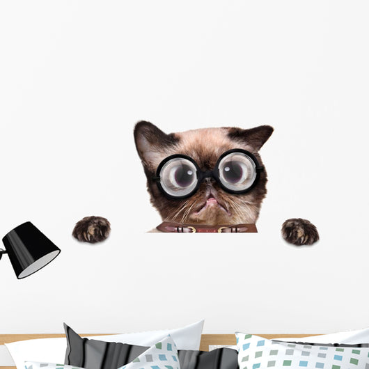 Crazy Silly Cat with