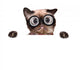 Crazy Silly Cat with