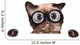 Crazy Silly Cat with